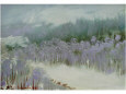 Paesaggio con la neve